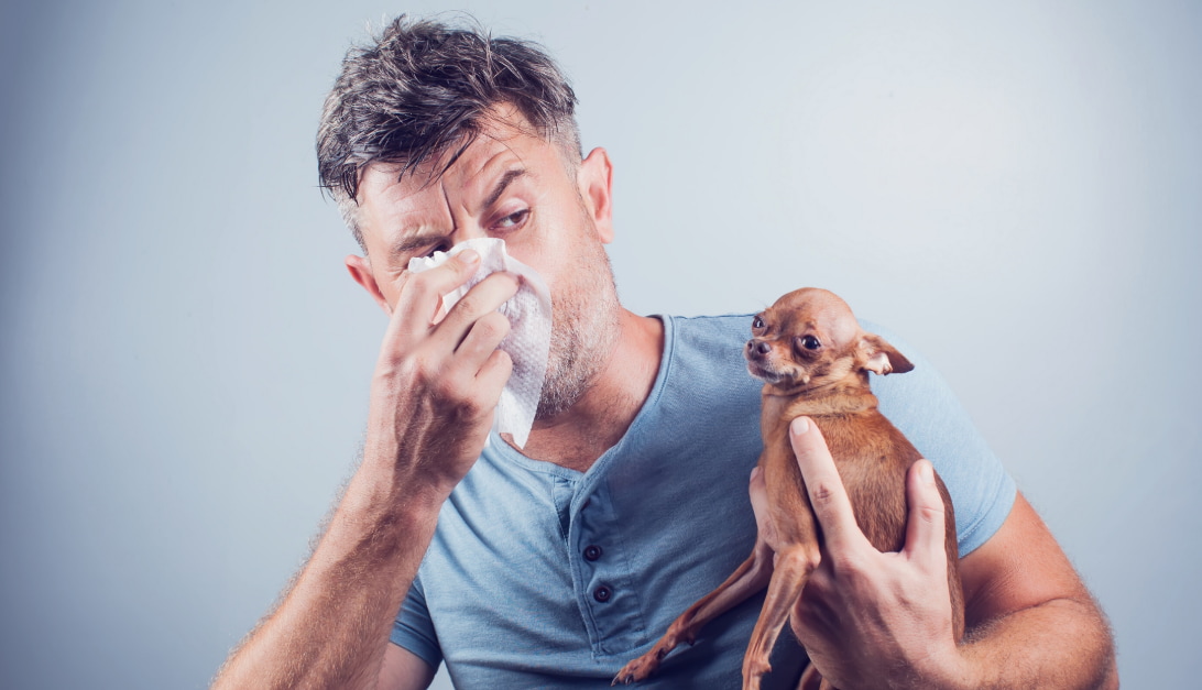 kennel cough