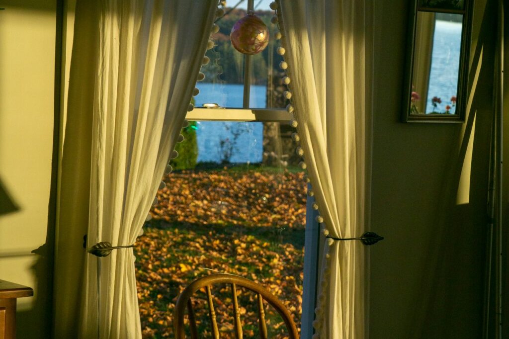 Empty chair beside a sunlit window looking out onto autumn trees