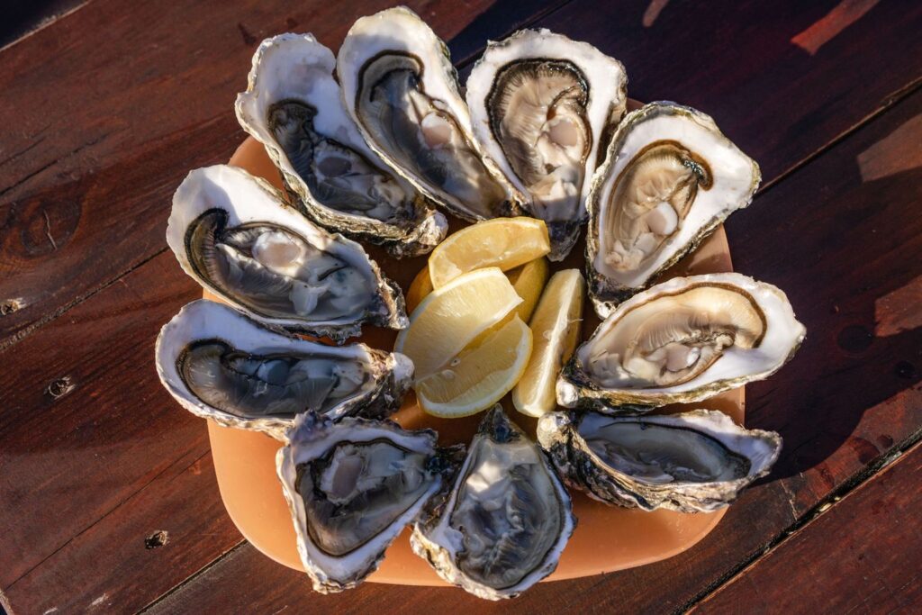 Fresh oysters on the half shell arranged with lemon wedges