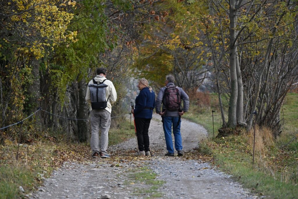 Three people walking along a forest path in autumn