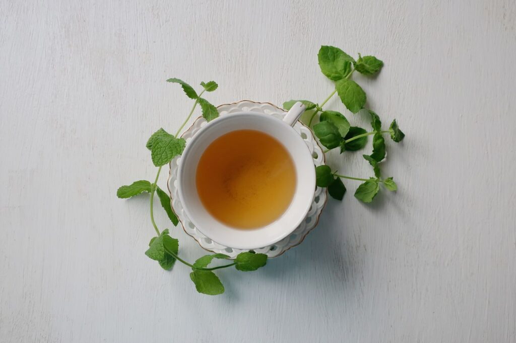 White cup of pale herbal tea on a saucer surrounded by fresh green sprigs, seen from above