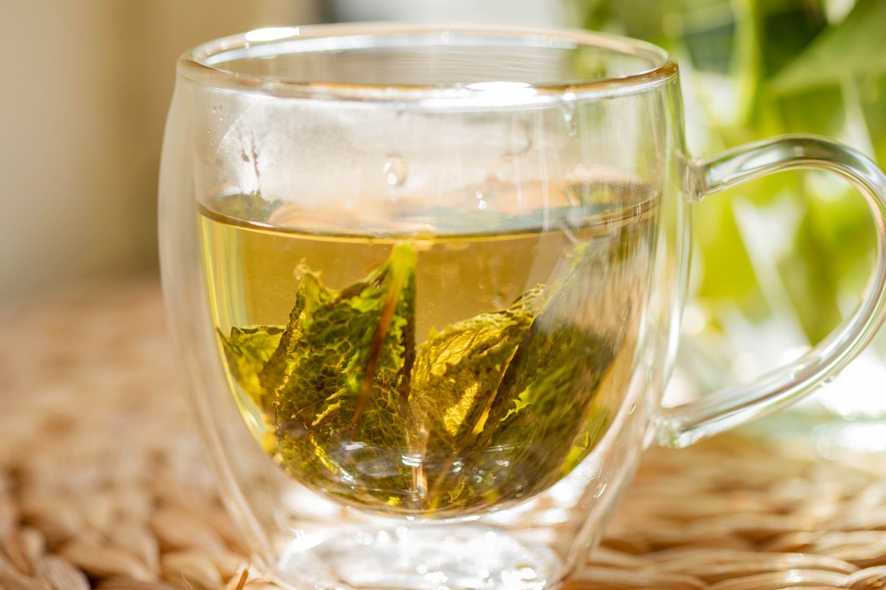 Lemon Balm Tea Benefits: What It Does for Stress, Sleep and Digestion